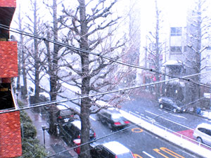 060121_snow.jpg